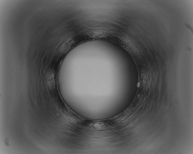 X0000097800506200803281038