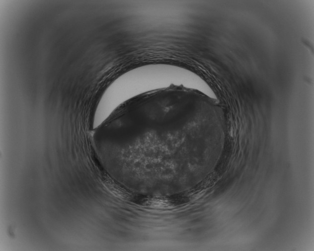 X0000097800507200803281038