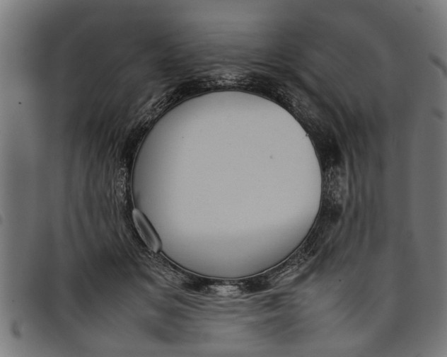 X0000097800509200803281038