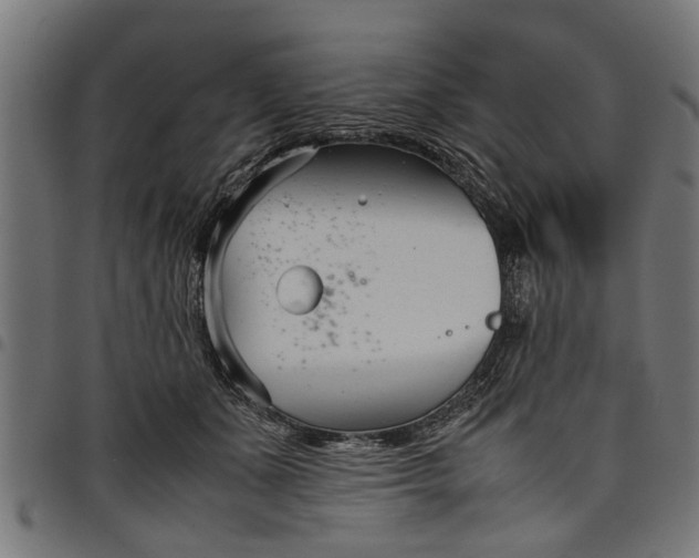 X0000097800511200803281038