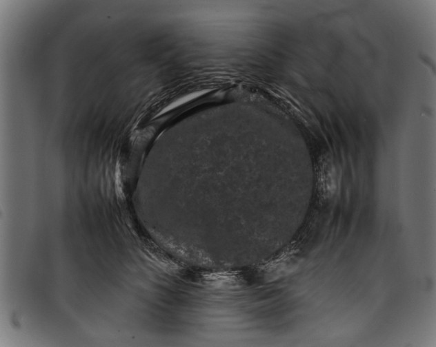 X0000097800516200803281038