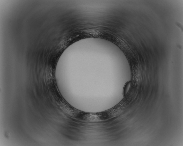 X0000097800518200803281038