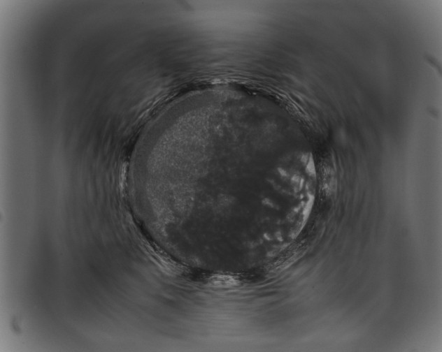 X0000097800519200803281038