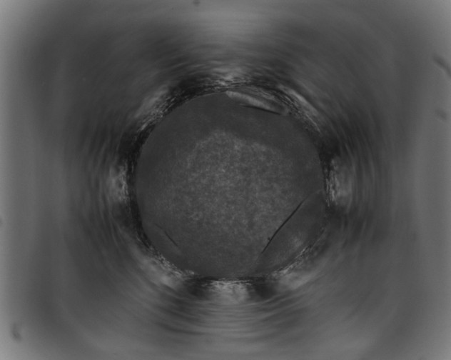 X0000097800520200803281038