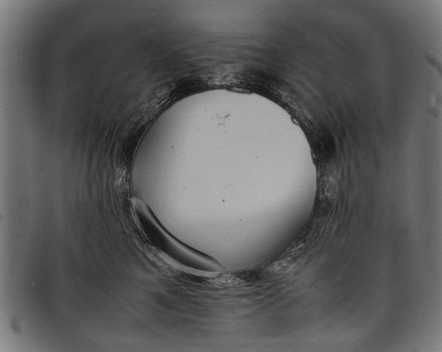 X0000097800521200803281038