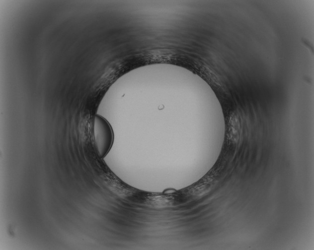 X0000097800522200803281038