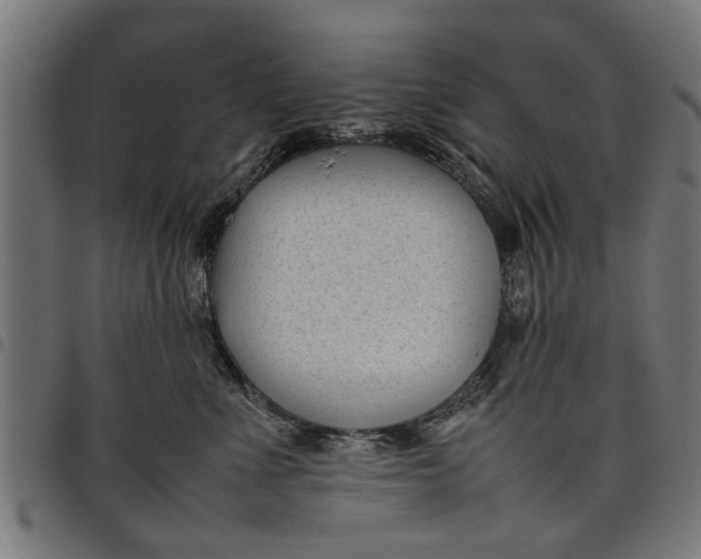 X0000097800523200803281038