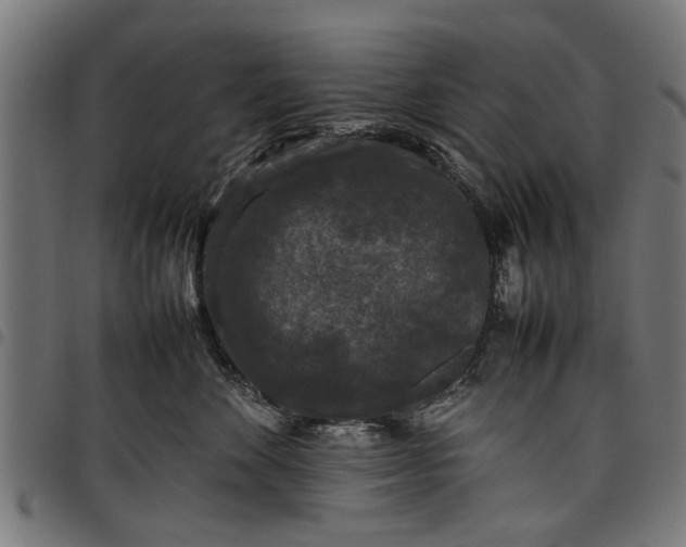 X0000097800524200803281038