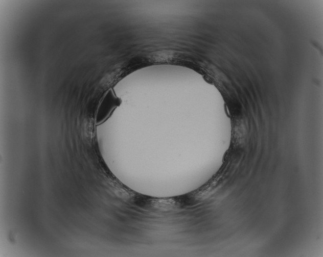 X0000097800525200803281038