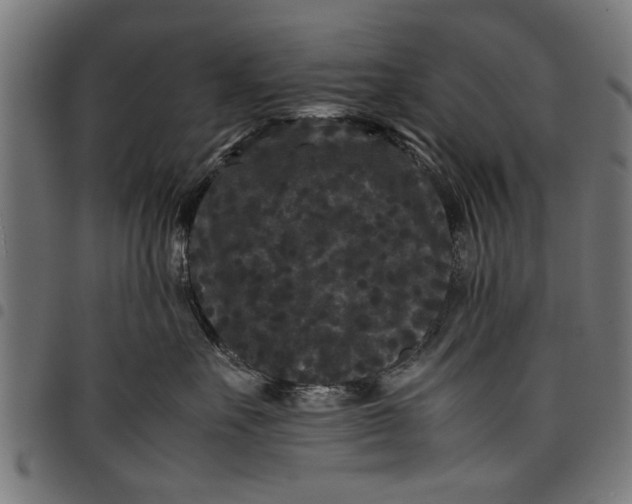 X0000097800527200803281038