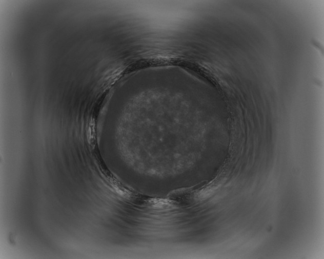 X0000097800528200803281038