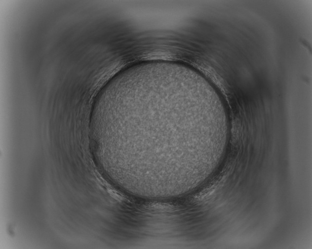 X0000097800529200803281037