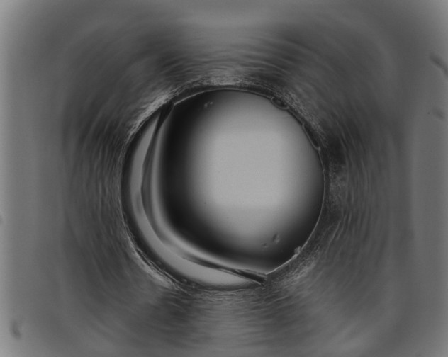 X0000097800530200803281037