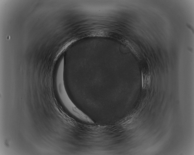 X0000097800531200803281037