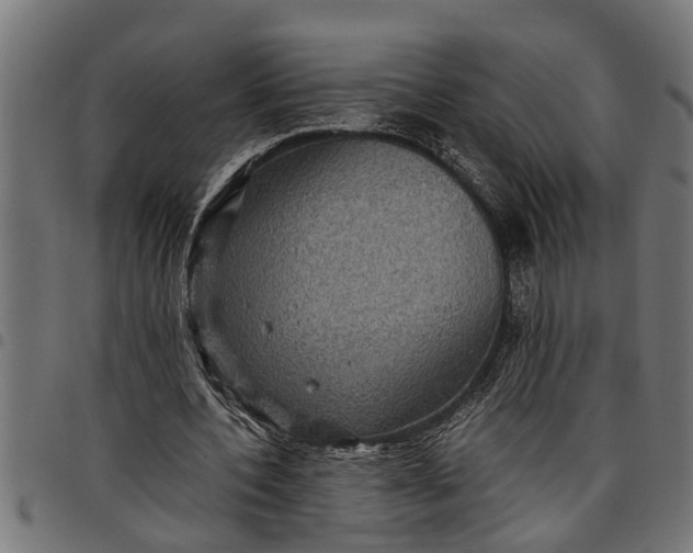 X0000097800532200803281037