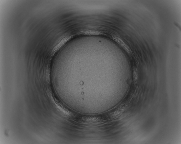 X0000097800533200803281037