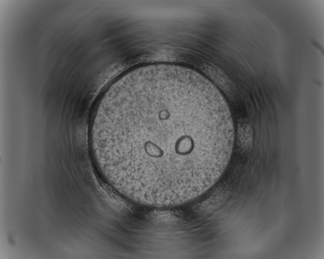 X0000097800534200803281037