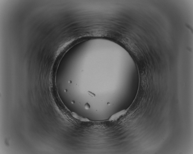 X0000097800536200803281037