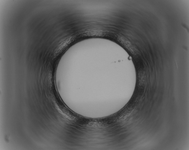 X0000097800538200803281037