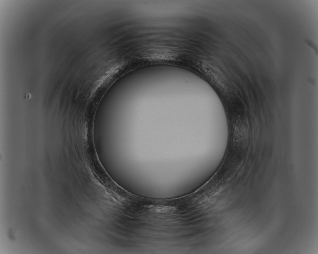 X0000097800539200803281037