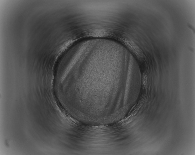 X0000097800540200803281037