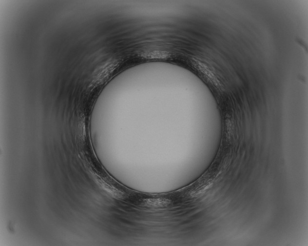 X0000097800541200803281037