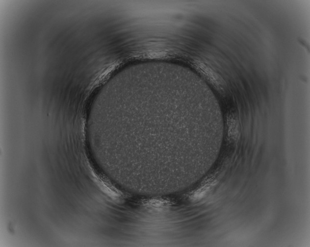 X0000097800542200803281037