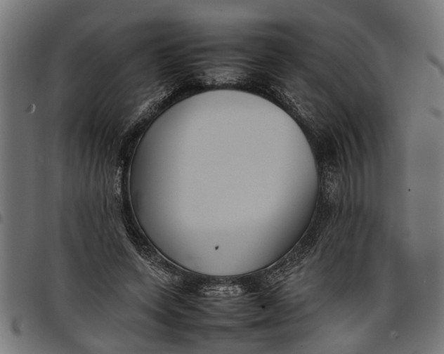 X0000097800543200803281037