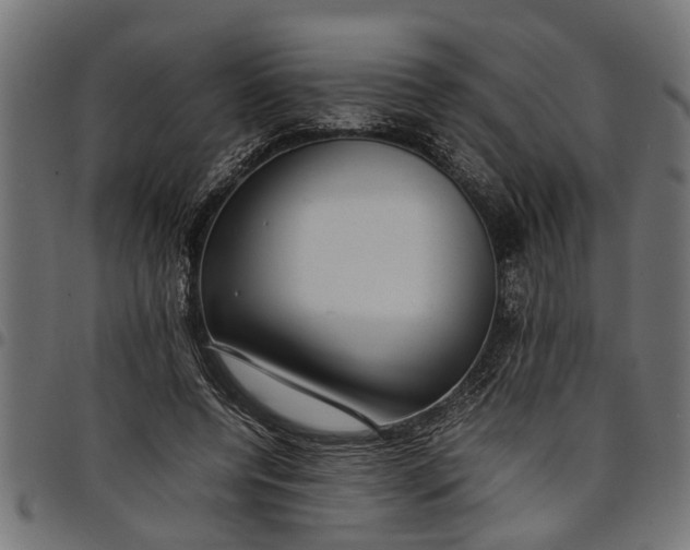 X0000097800544200803281037