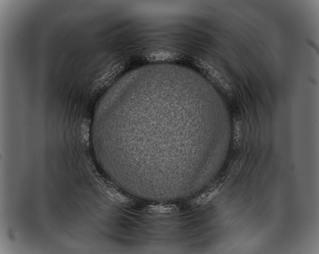 X0000097800545200803281037