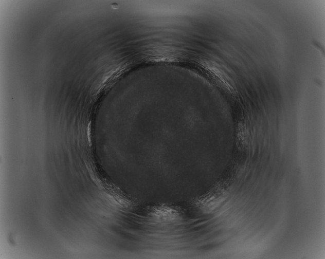 X0000097800547200803281038