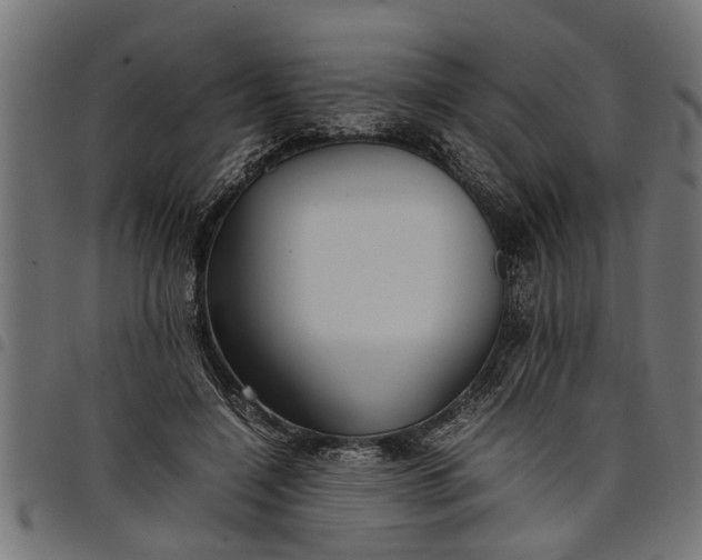 X0000097800548200803281038