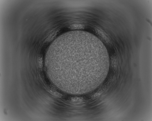 X0000097800549200803281038