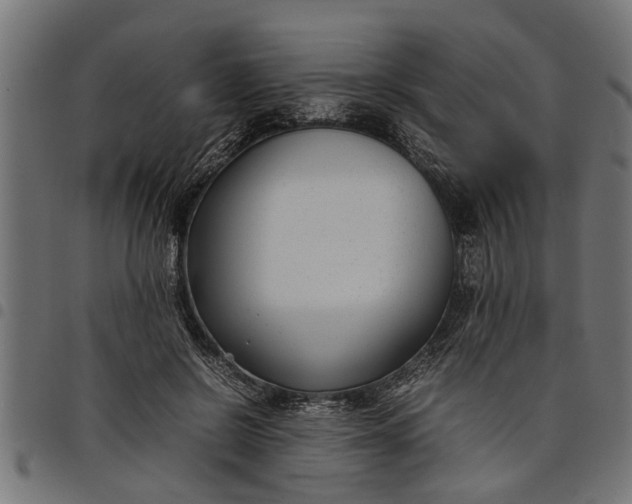 X0000097800550200803281038