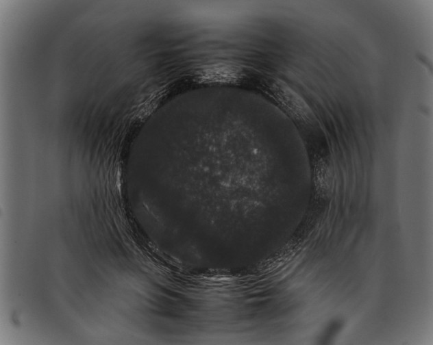 X0000097800551200803281038