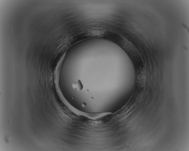 X0000097800552200803281038