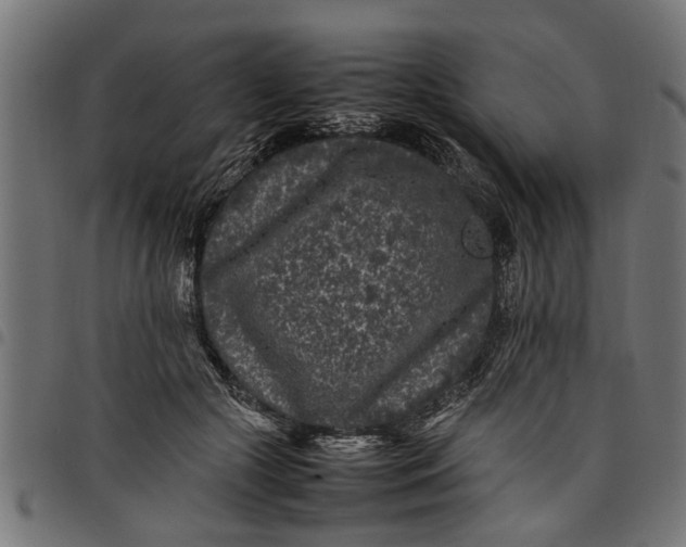 X0000097800553200803281038