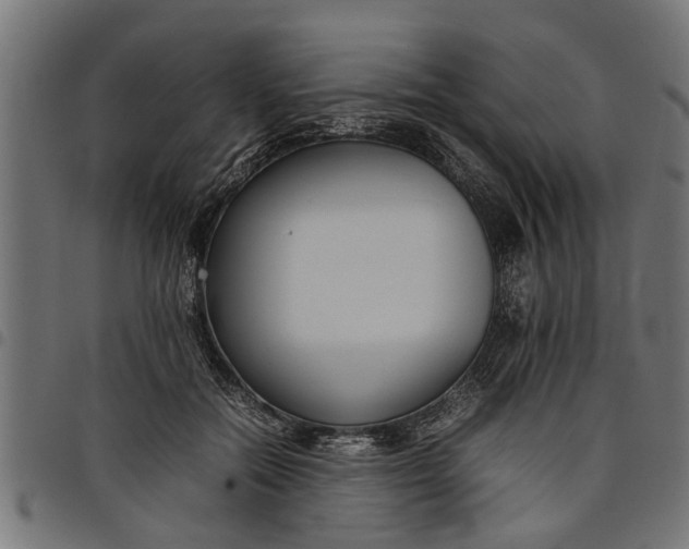 X0000097800554200803281038