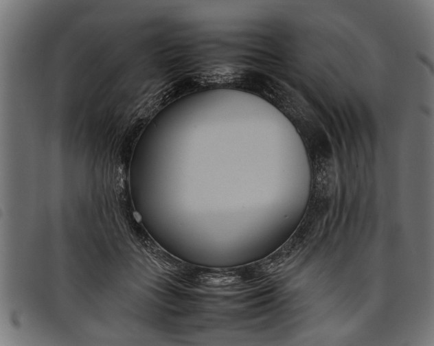 X0000097800555200803281038