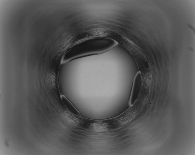 X0000097800556200803281038