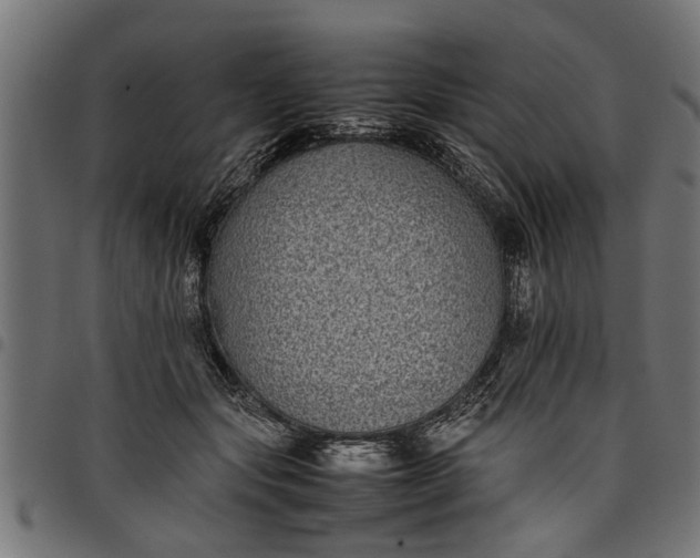 X0000097800557200803281038