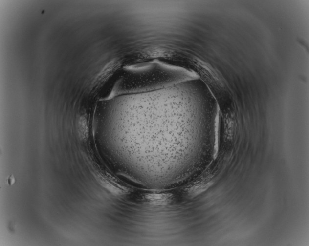 X0000097800558200803281038