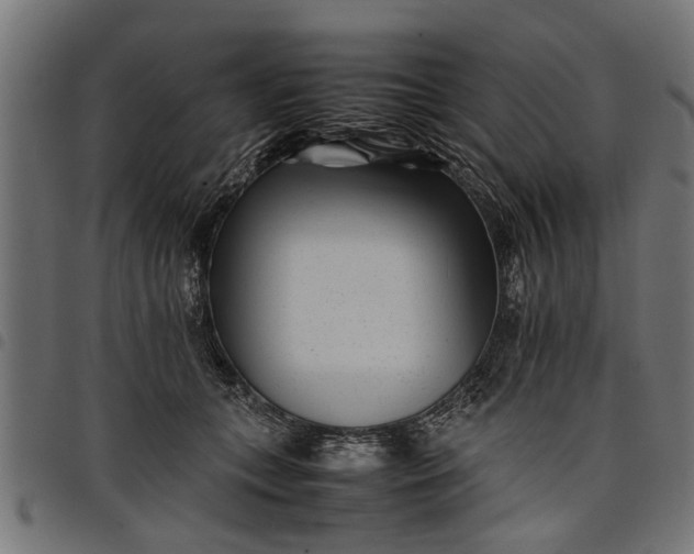 X0000097800559200803281038