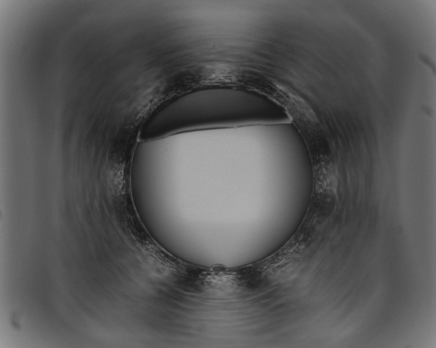 X0000097800560200803281038