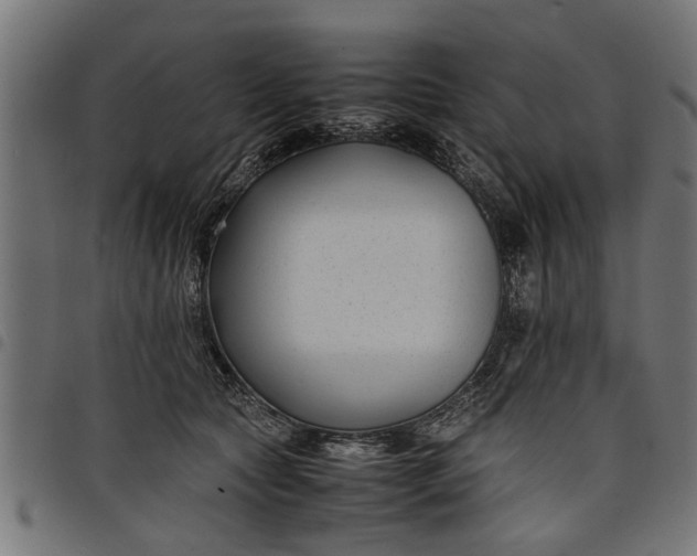 X0000097800561200803281038