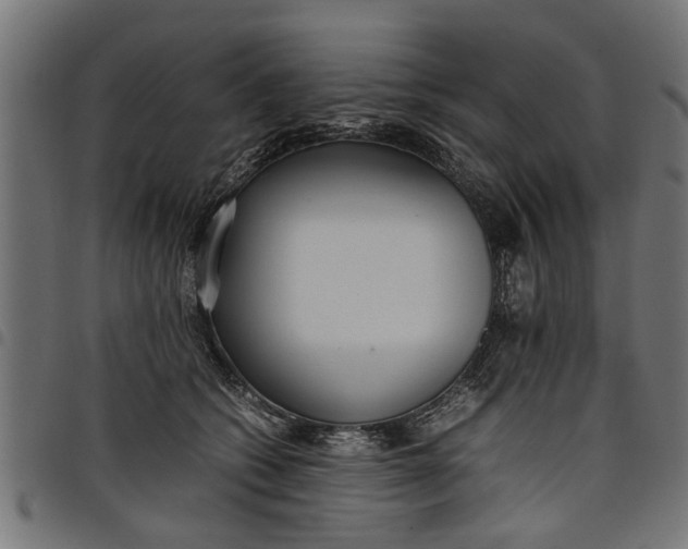 X0000097800562200803281038