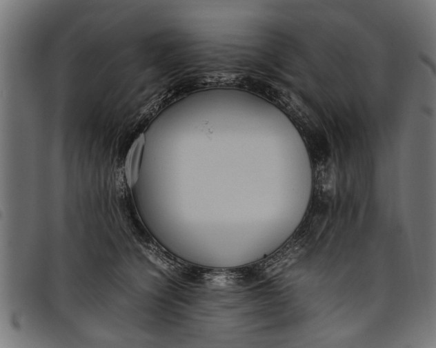 X0000097800564200803281038