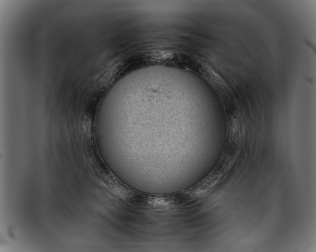 X0000097800565200803281038