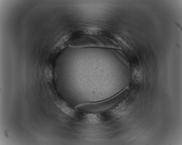 X0000097800566200803281038