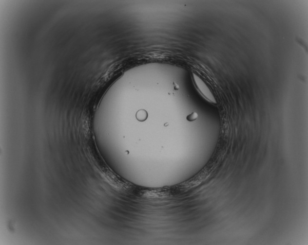 X0000097800568200803281038